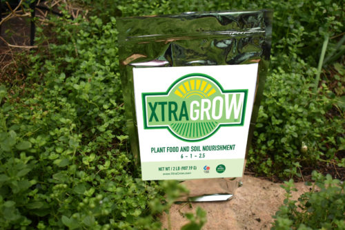 Premium Organic Plant Based Fertilizer Video Xtragrow in plants grown with Xtragrow 3